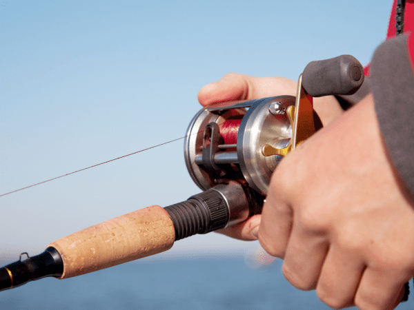 Fishing Reel